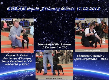 Edenstaff - CACIB Show Fribourg Swiss 17.02.2013