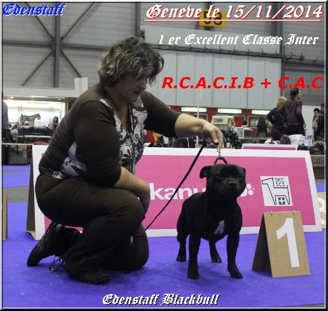Edenstaff - Genève le 15/11/2014. RCACIB + CAC